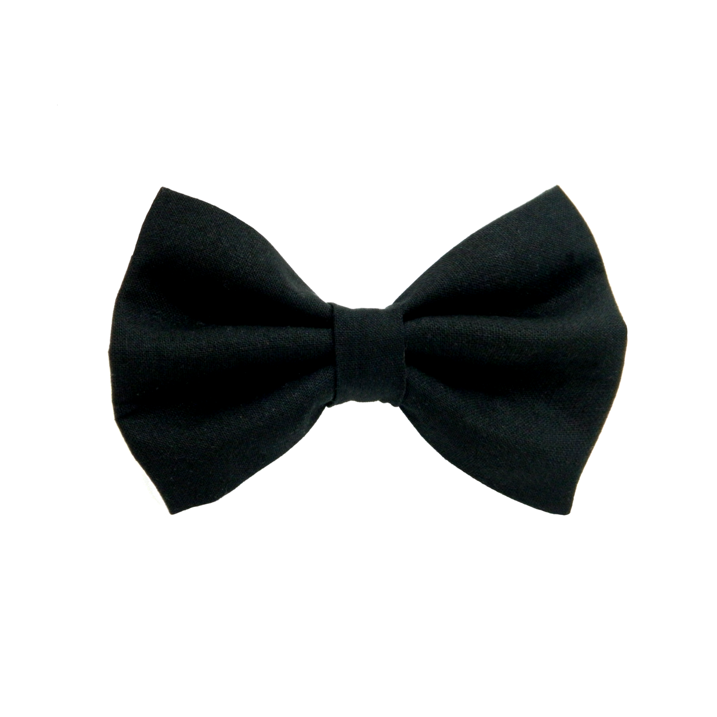 Black Dog Bow Tie