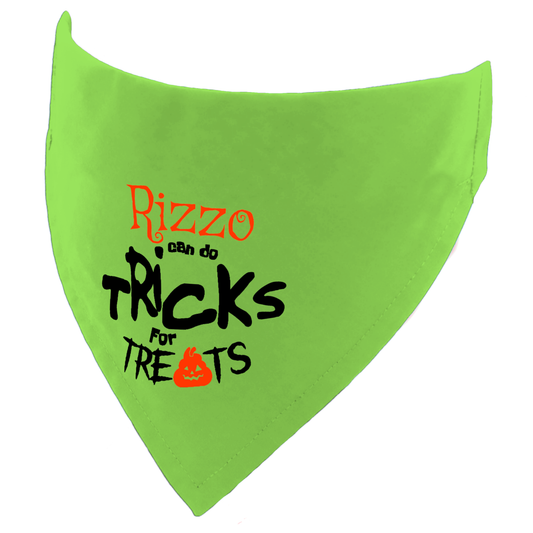 Personalised Halloween Tricks fur Treats Dog Bandana