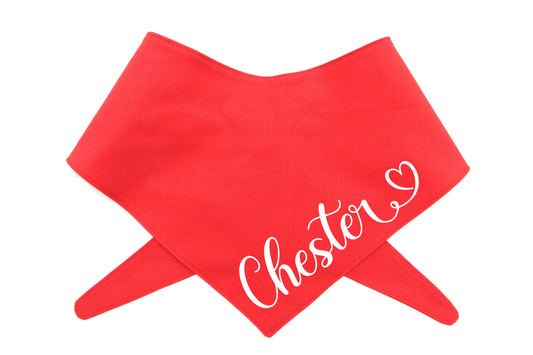 Personalised Dog Bandana with Name - Tie On