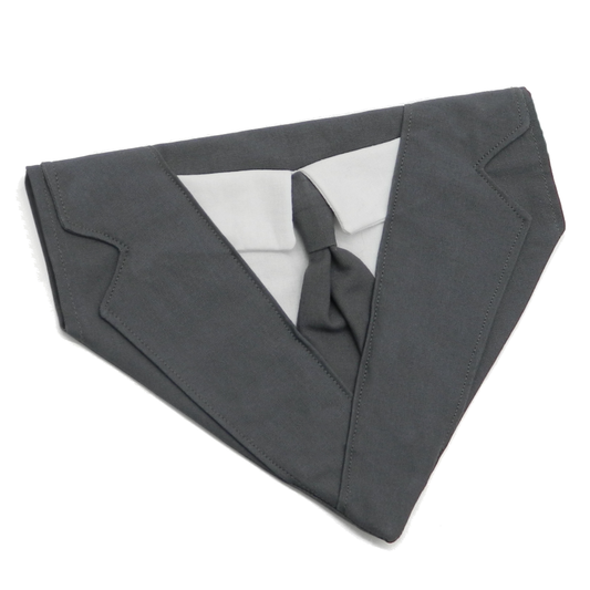 Wedding Dark Grey Suit with Shirt and Tie Dog Bandana