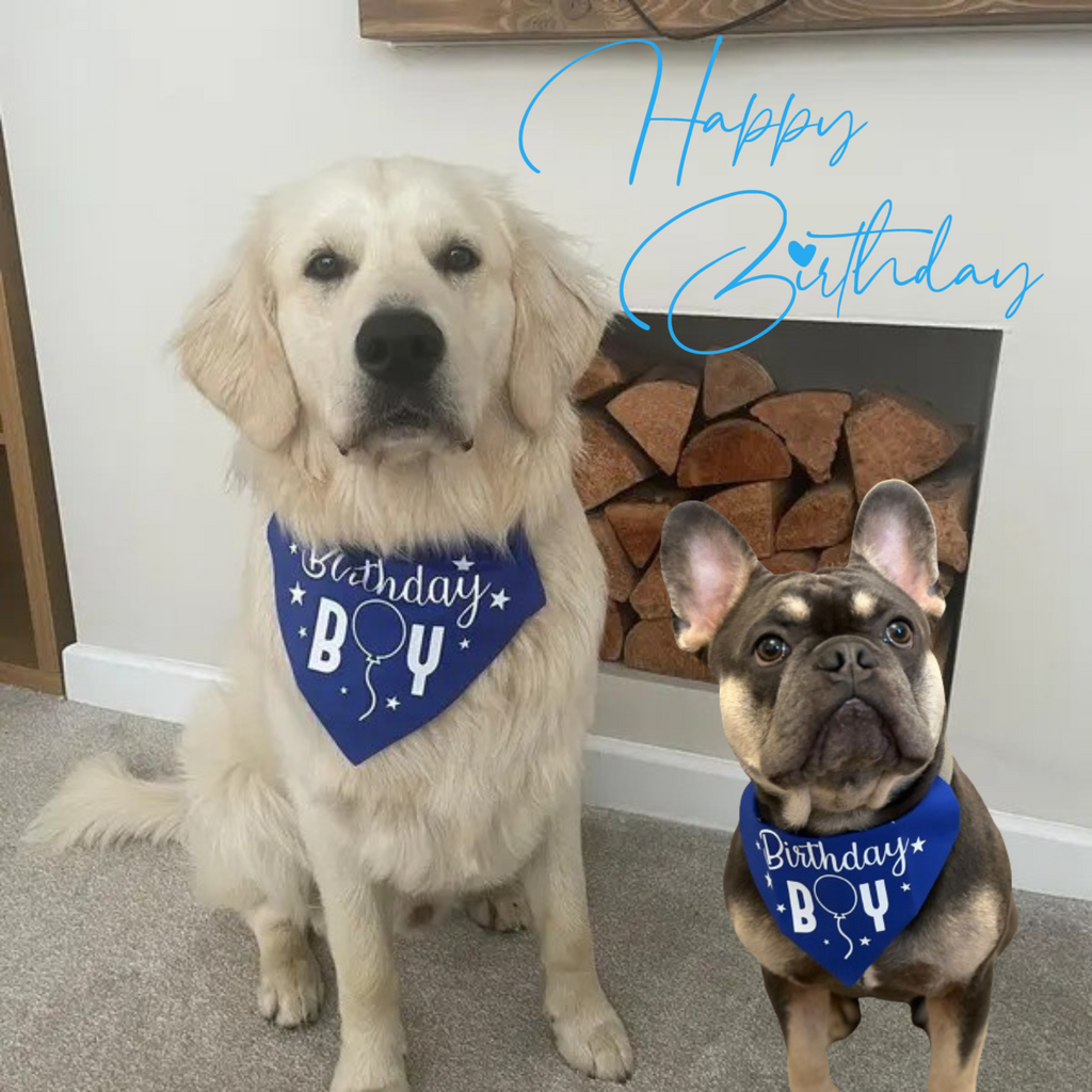 Birthday Boy Dog Bandana