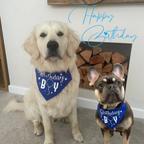 Birthday Boy Dog Bandana