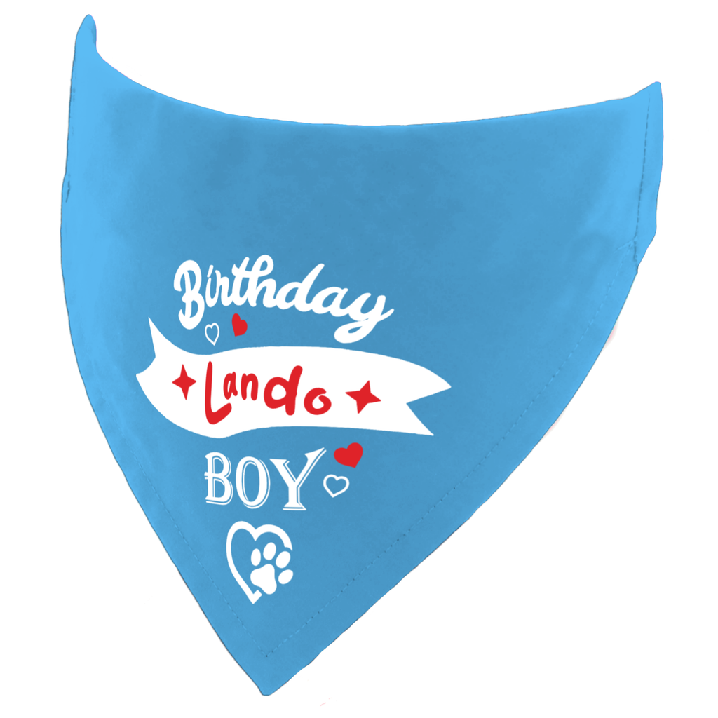 Personalised Birthday Boy Dog Bandana