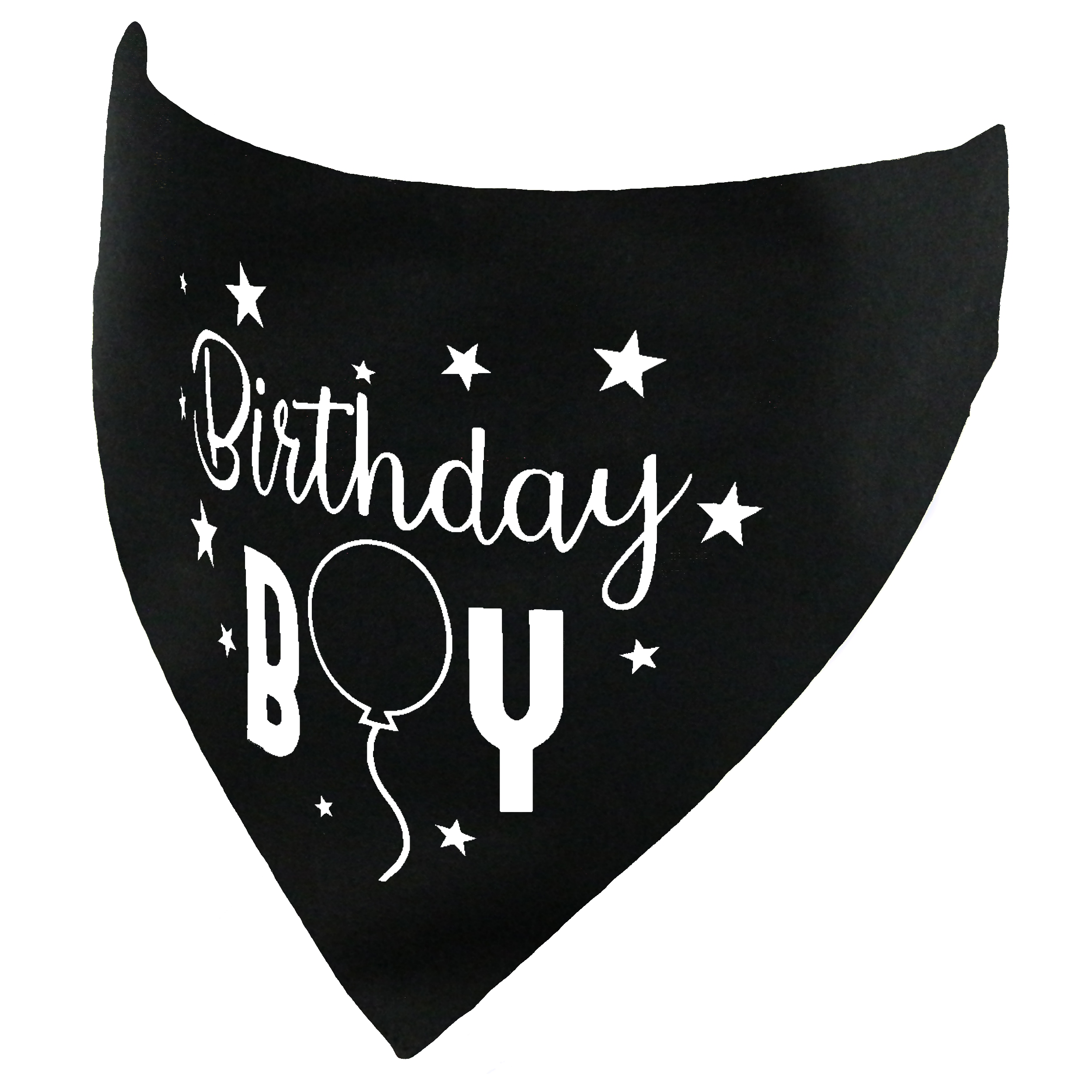 Birthday Boy Dog Bandana