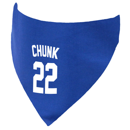 Football Name and Number Customisable Dog Bandana