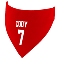 Football Name and Number Customisable Dog Bandana