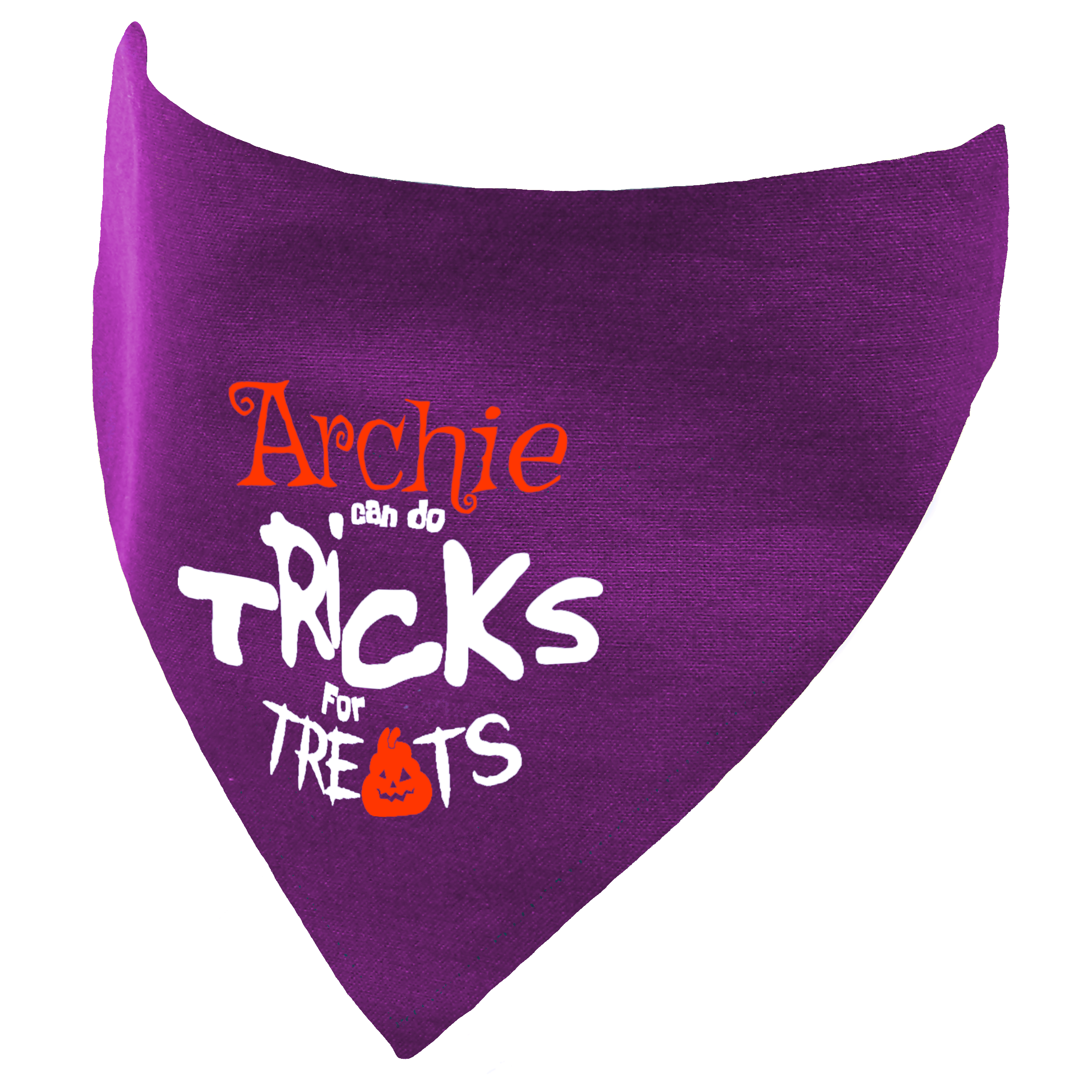 Personalised Halloween Tricks fur Treats Dog Bandana