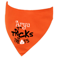 Personalised Halloween Tricks fur Treats Dog Bandana