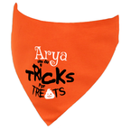 Personalised Halloween Tricks fur Treats Dog Bandana
