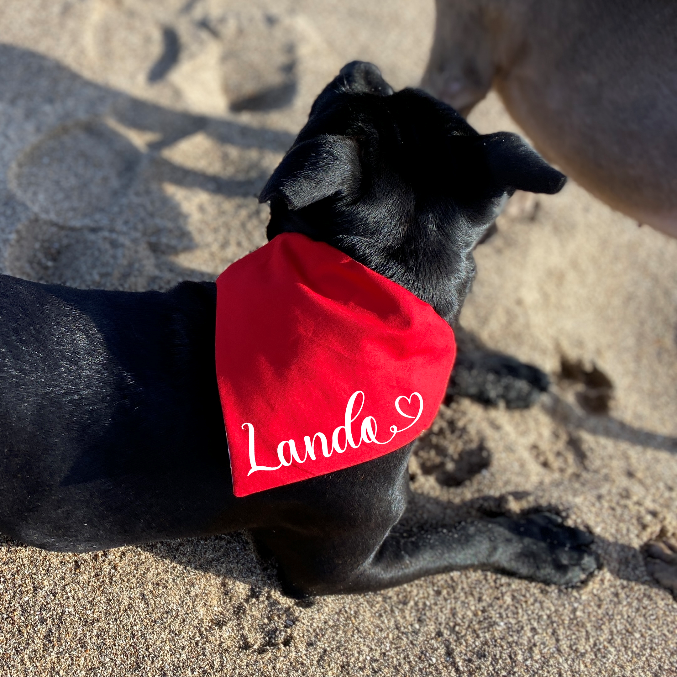 Personalised Dog Bandana with Name - Tie On