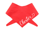 Personalised Dog Bandana with Name - Tie On