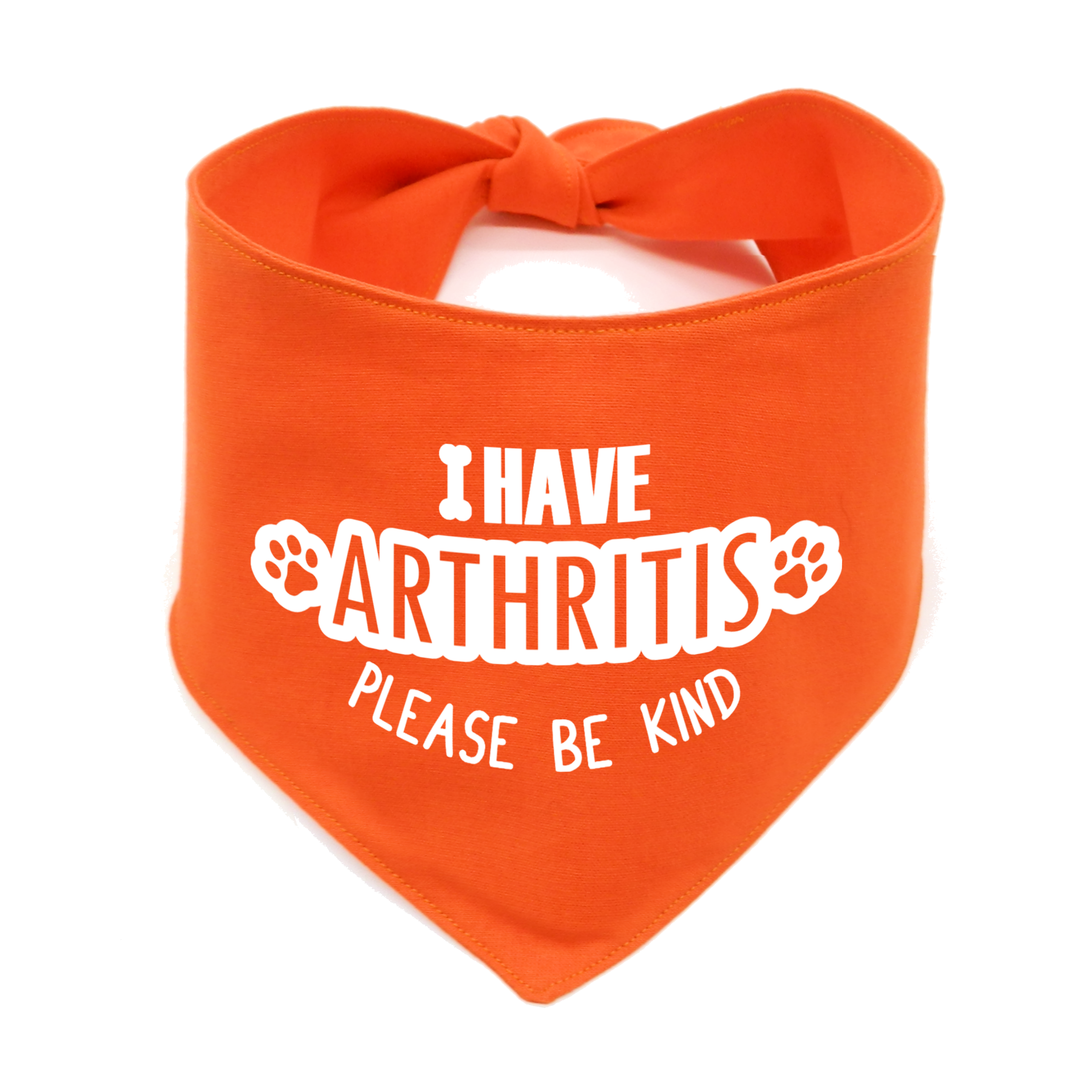 I Have Arthritis Please be Kind Dog Bandana