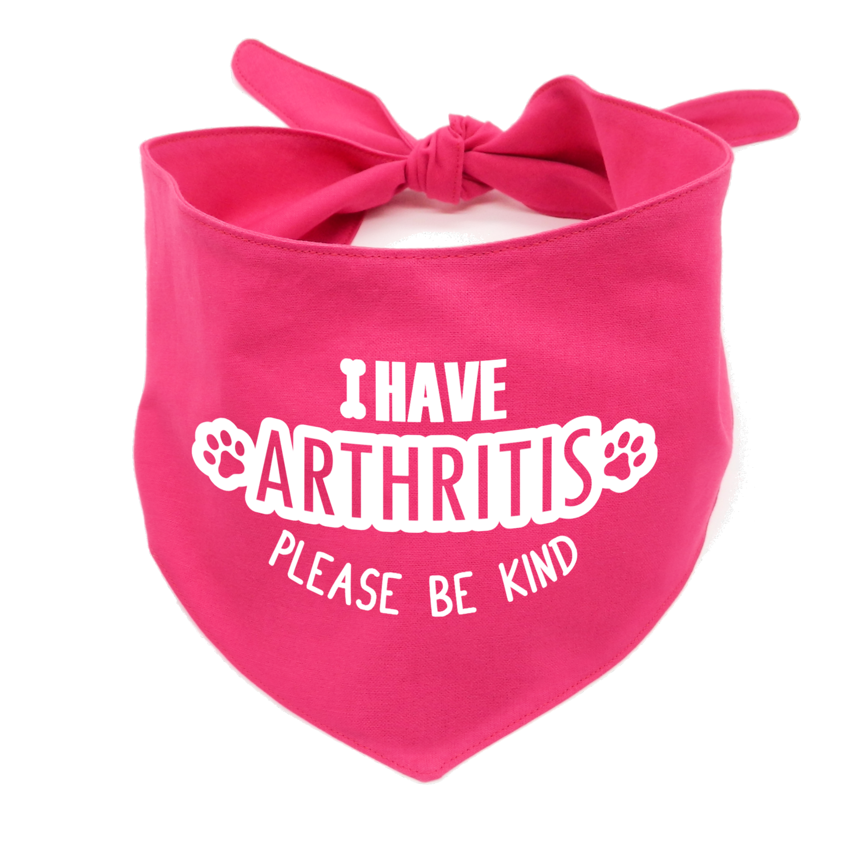 I Have Arthritis Please be Kind Dog Bandana