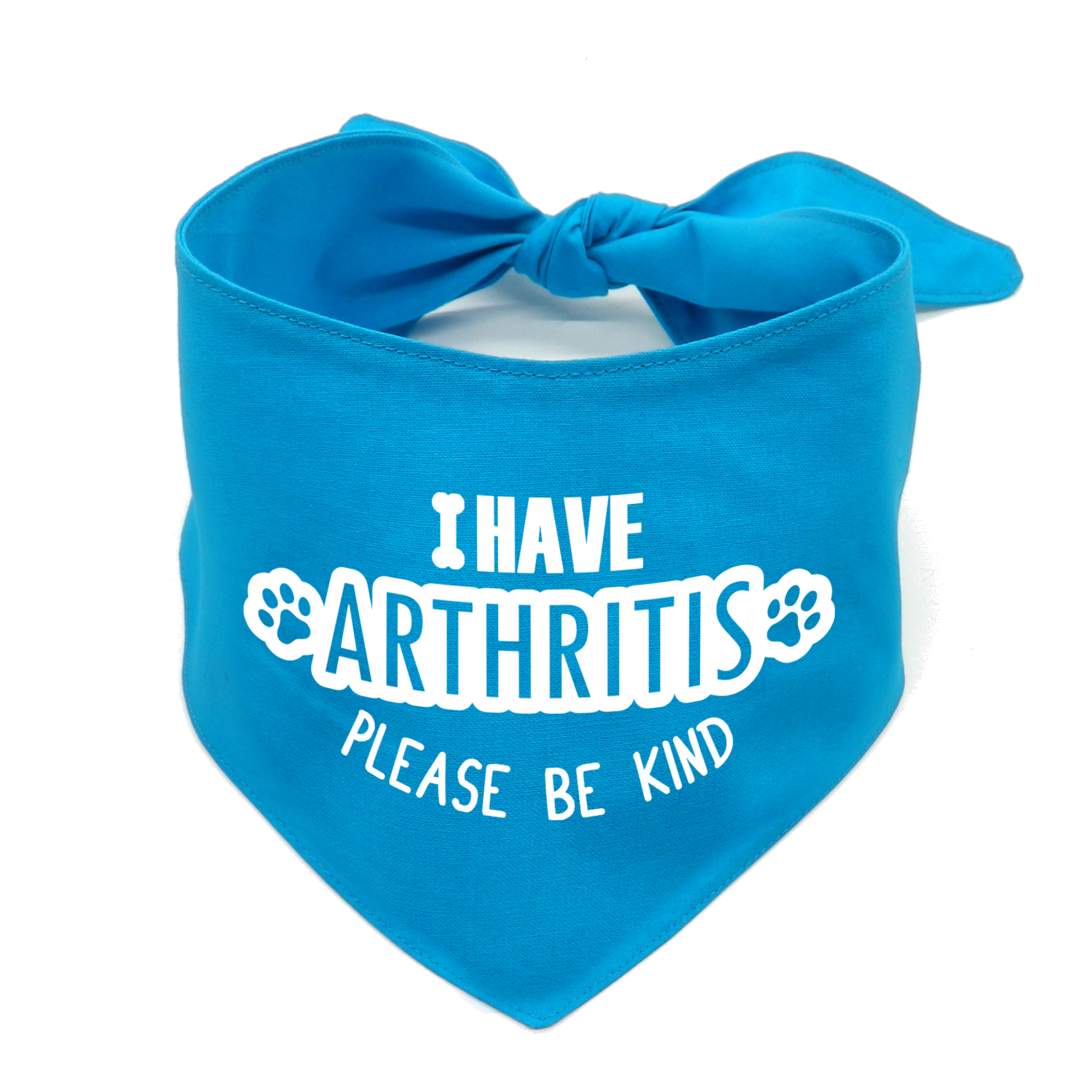 I Have Arthritis Please be Kind Dog Bandana