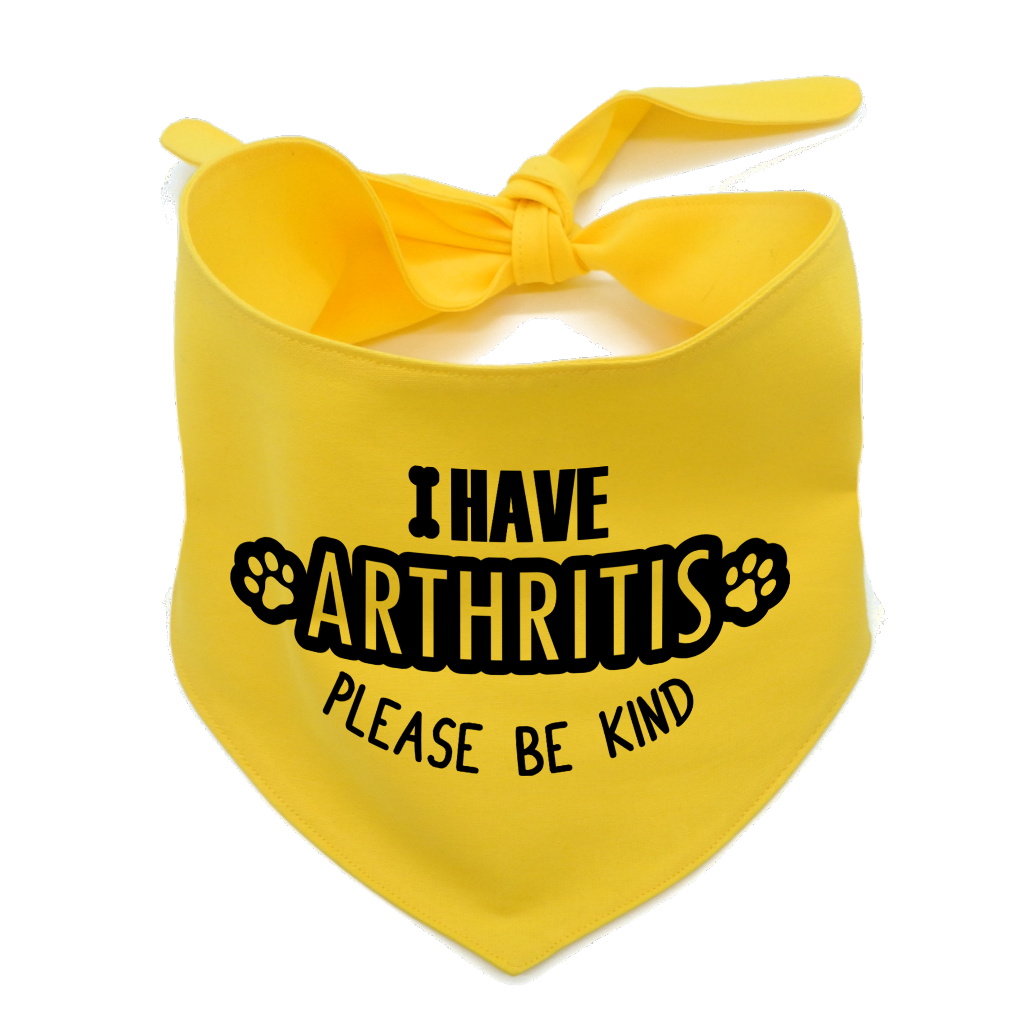 I Have Arthritis Please be Kind Dog Bandana