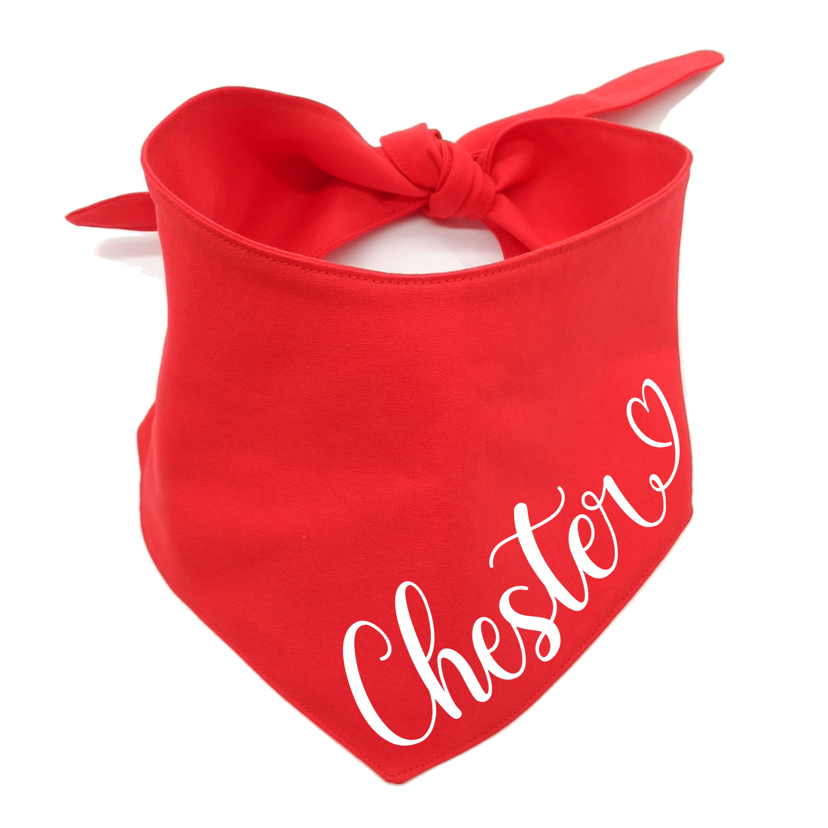 Personalised Dog Bandana with Name - Tie On