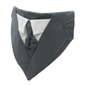 Wedding Dark Grey Suit with Shirt and Tie Dog Bandana