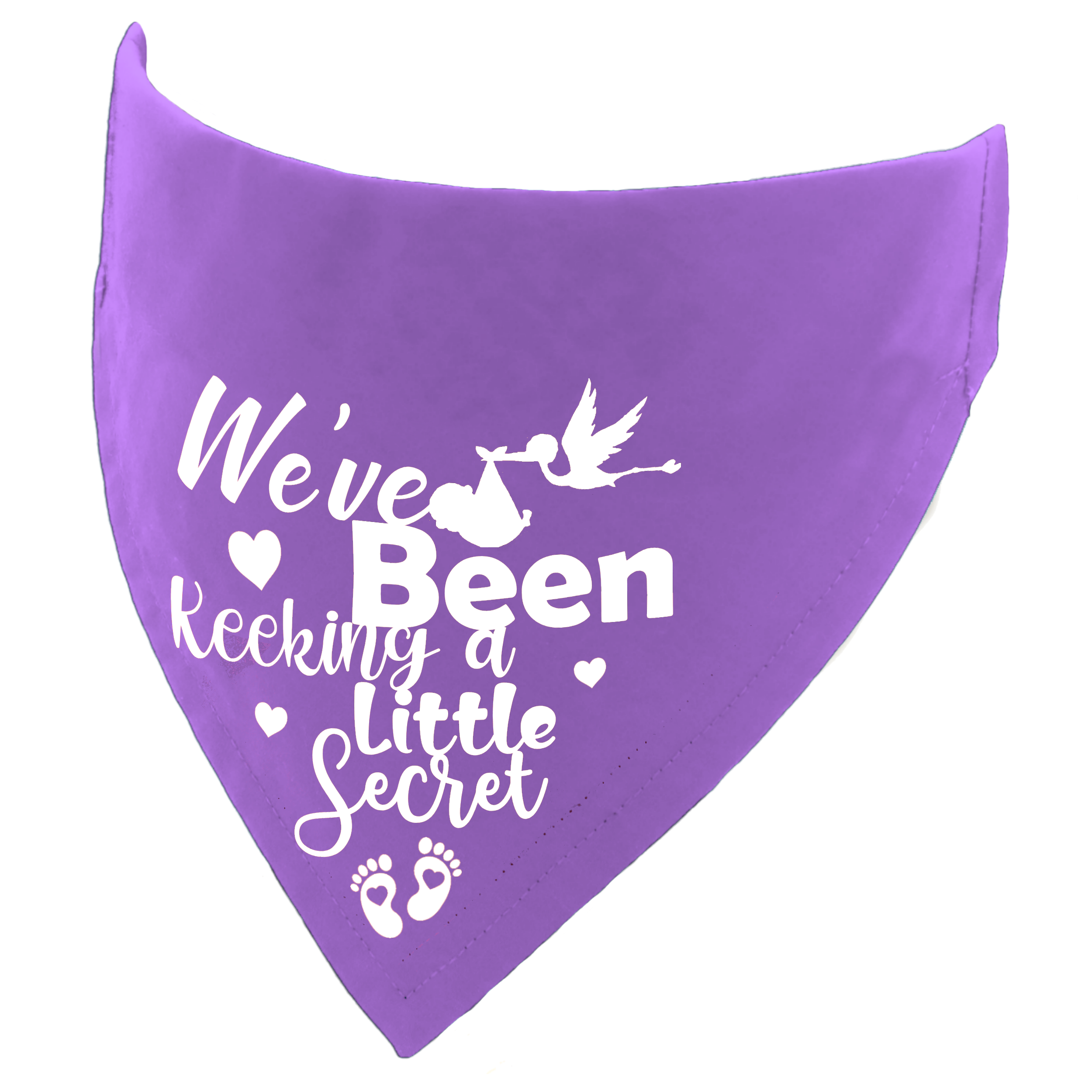 We've Been Keeping A Little Secret Pregnancy Announcement Dog or Cat Bandana