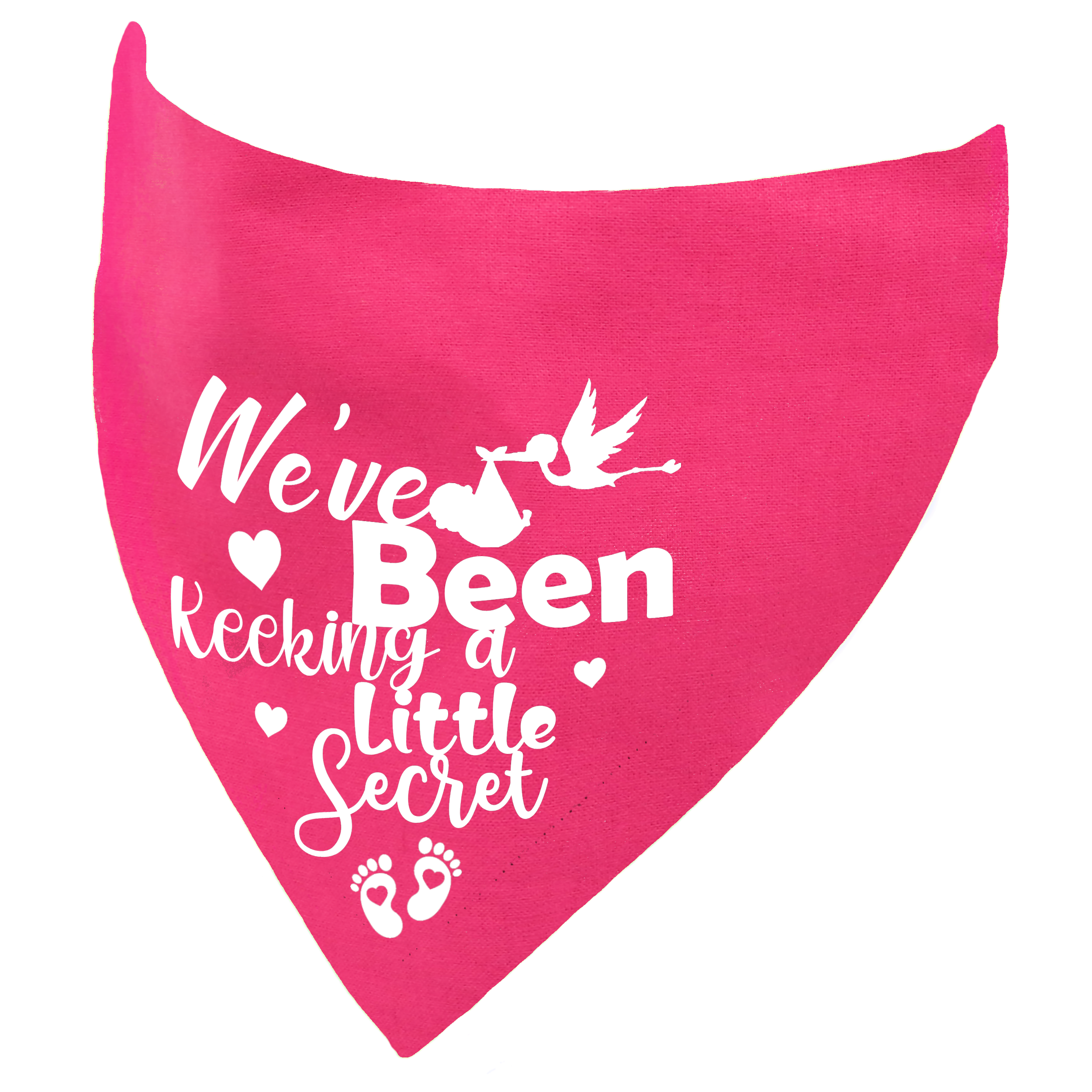 We've Been Keeping A Little Secret Pregnancy Announcement Dog or Cat Bandana